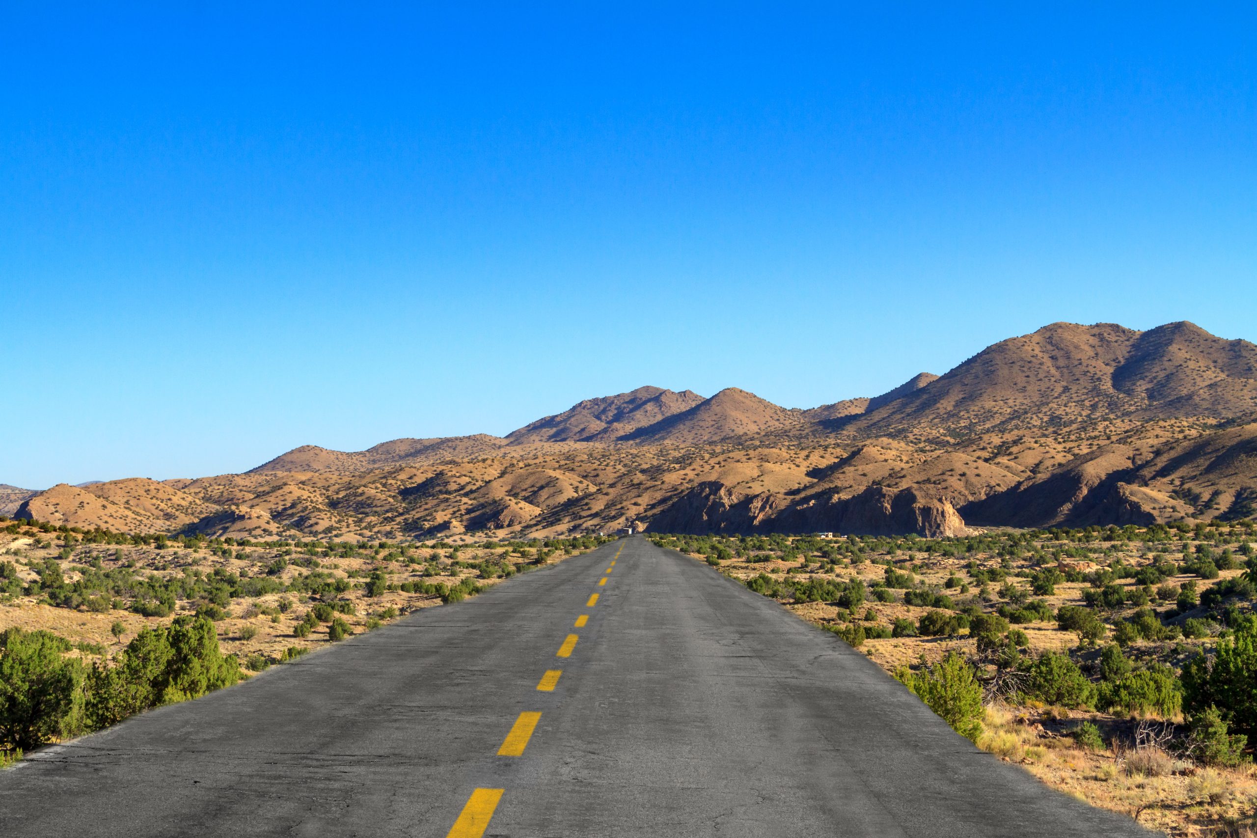 new mexico car shipping