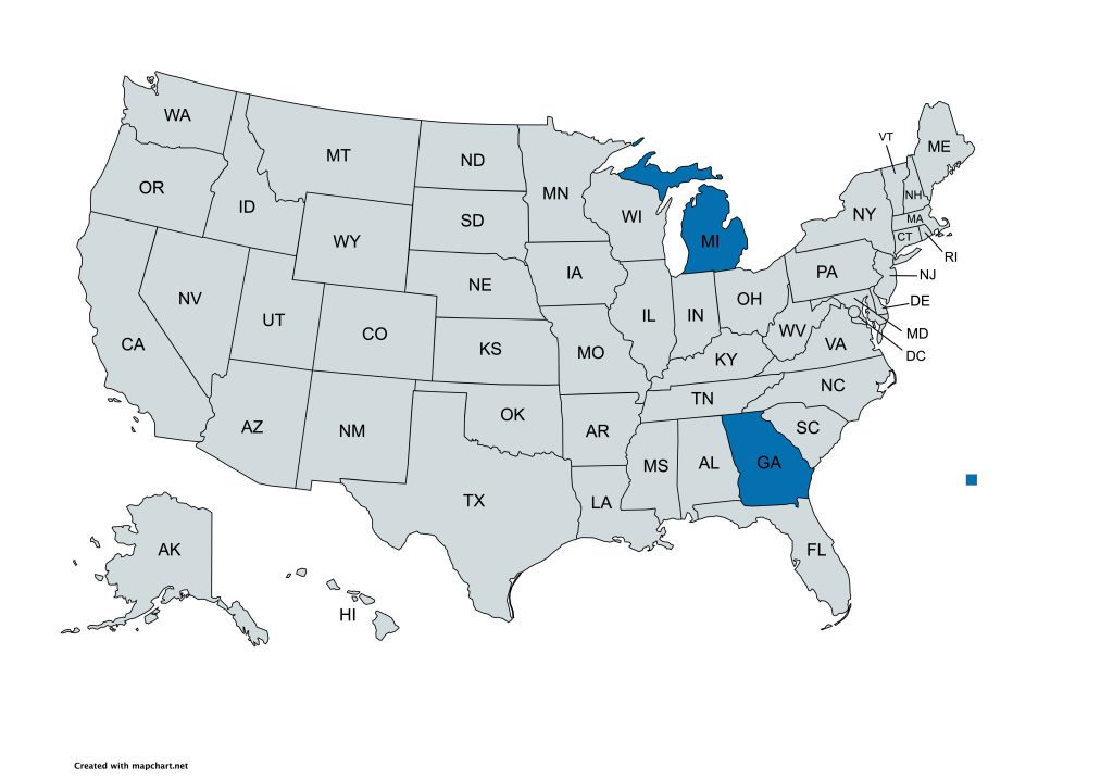 georgia to michigan vehicle transport